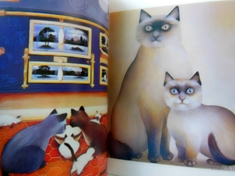 All Our Cats,Used