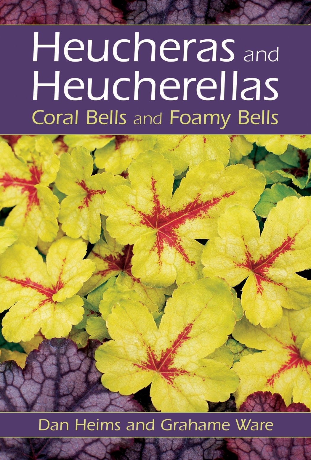 Heucheras and Heucherellas: Coral Bells and Foamy Bells,Used