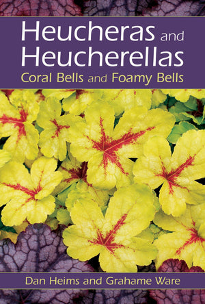 Heucheras and Heucherellas: Coral Bells and Foamy Bells,Used