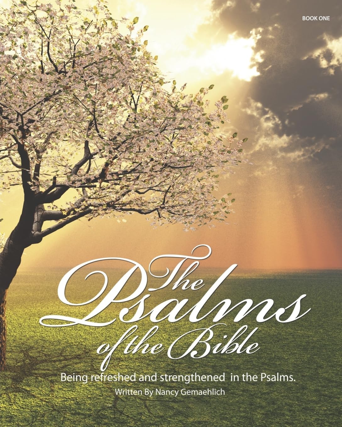 The Psalms Of The Bible: Being Refreshed And Strengthened In The Psalms,Used