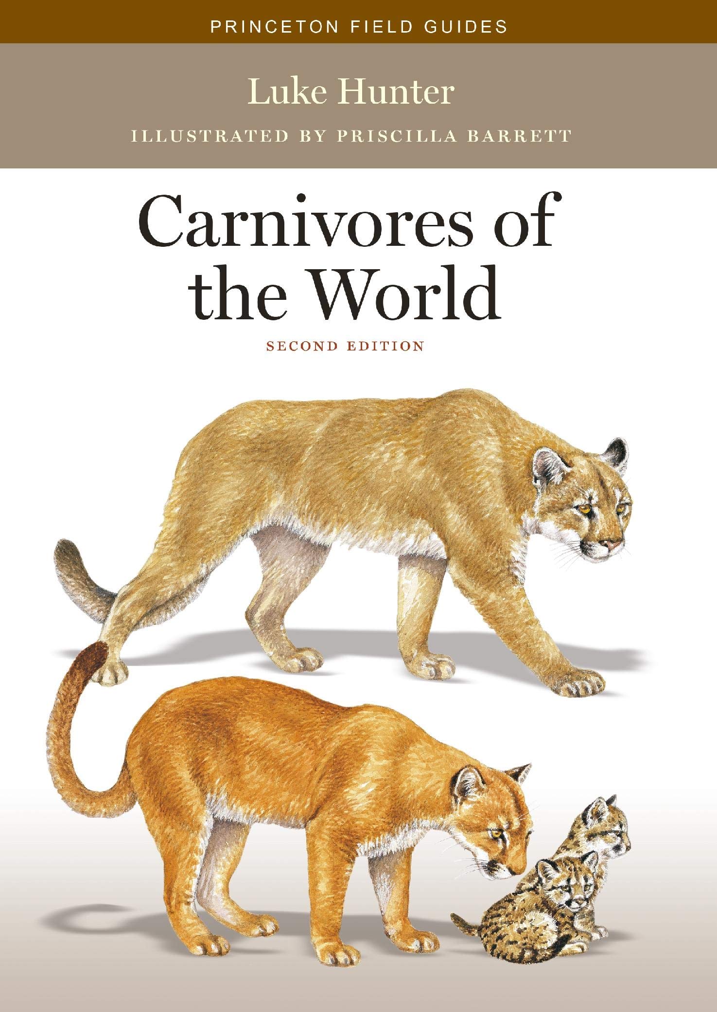 Carnivores of the World: Second Edition (Princeton Field Guides, 117)