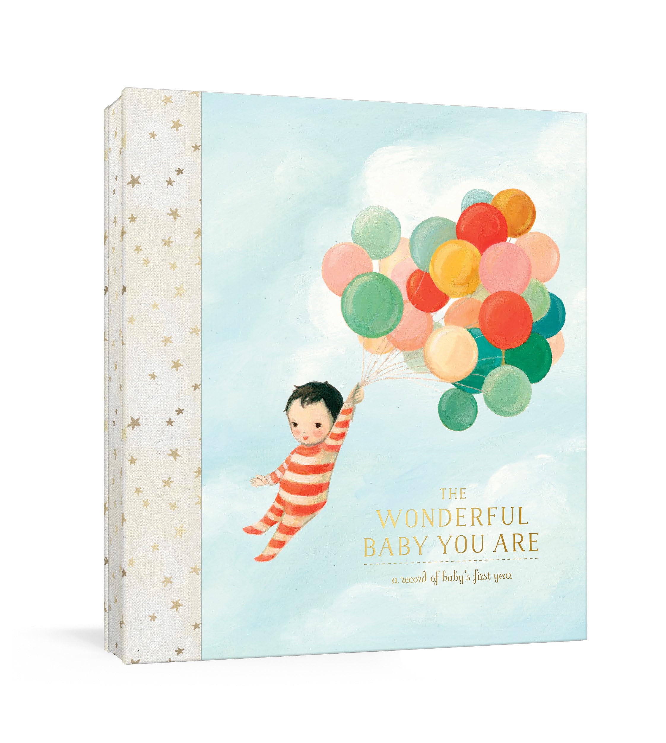 The Wonderful Baby You Are: A Record of Baby's First Year: Baby Memory Book with Milestone Stickers and Pockets,New