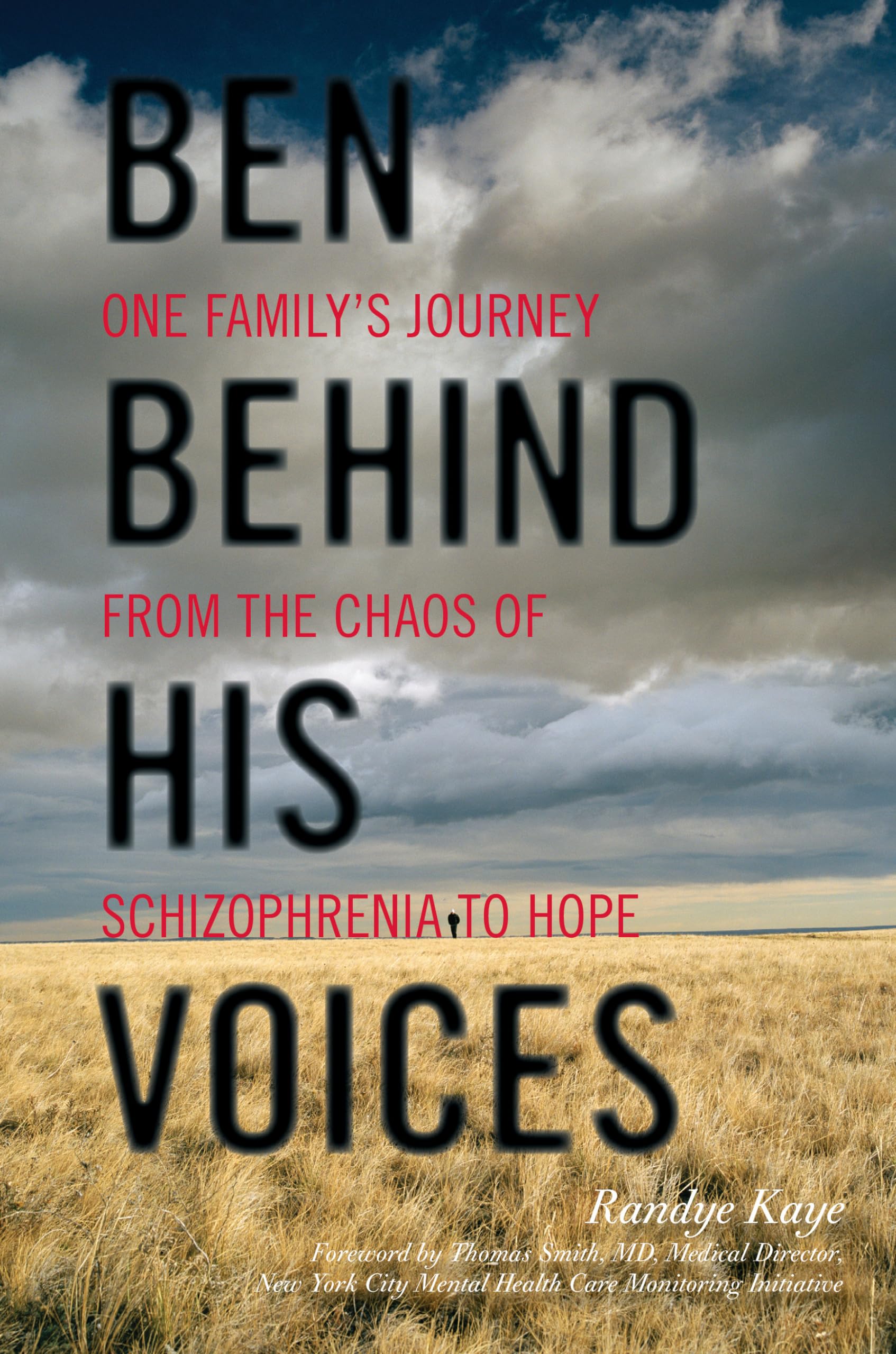 Ben Behind His Voices: One Family'S Journey From The Chaos Of Schizophrenia To Hope,Used