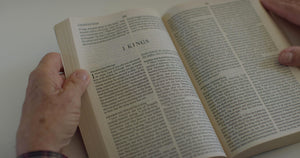 ESV Economy Bible, Large Print,Used