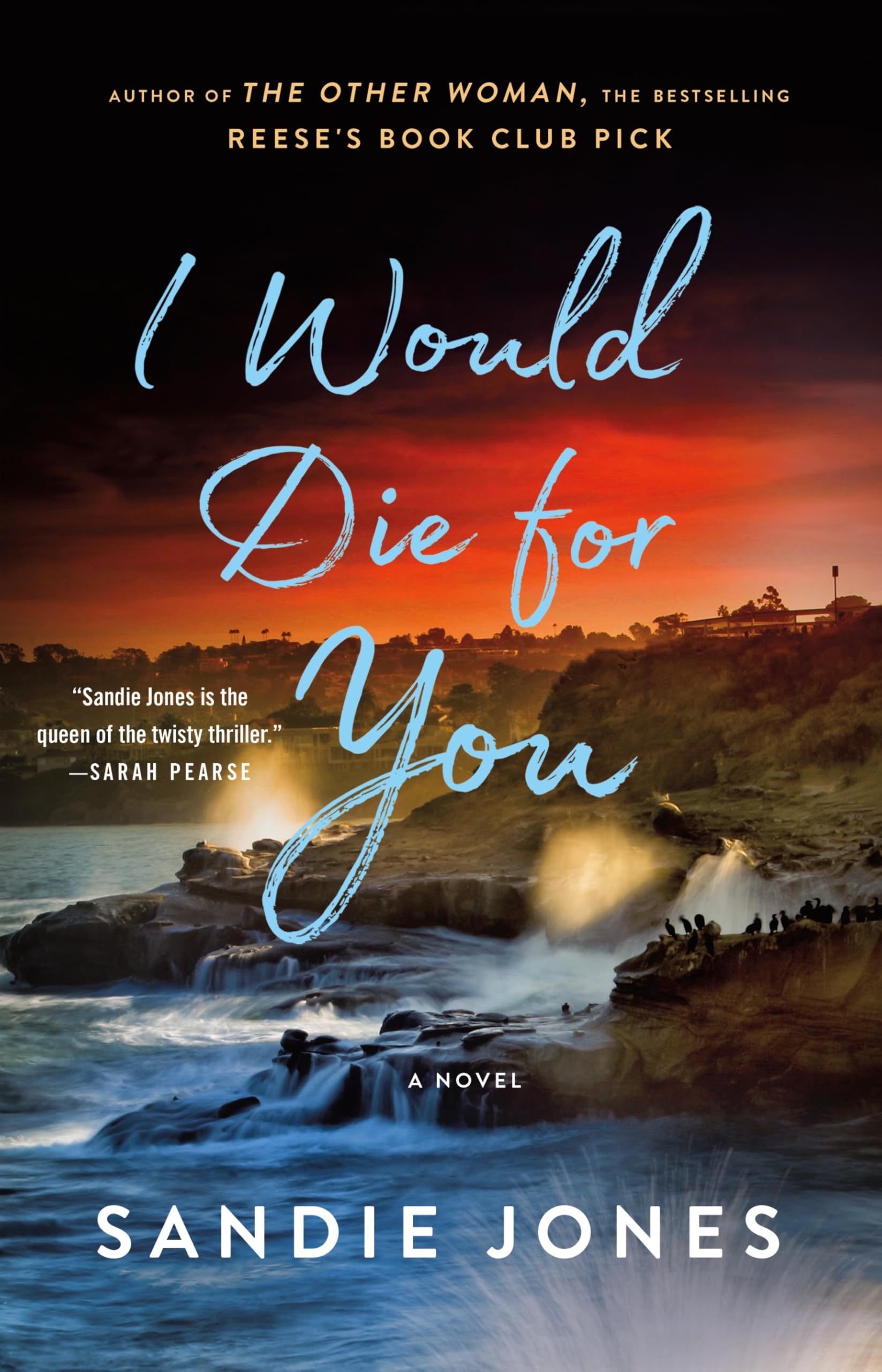I Would Die For You: A Novel