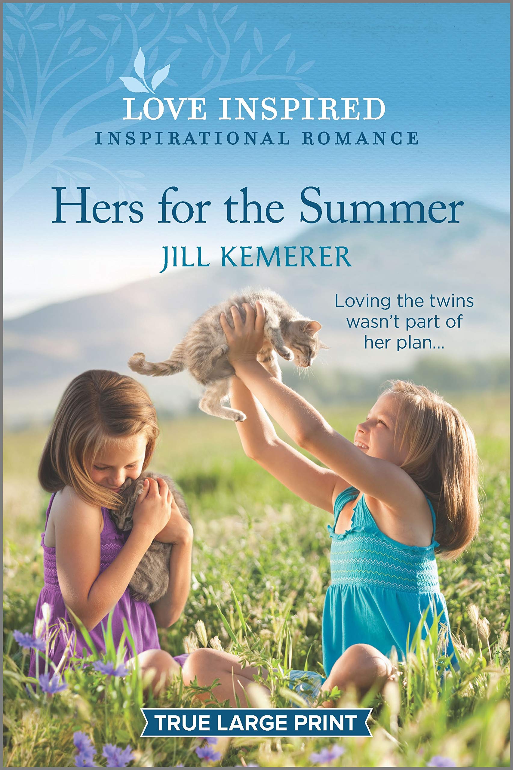 Hers for the Summer (Wyoming Sweethearts, 4),Used