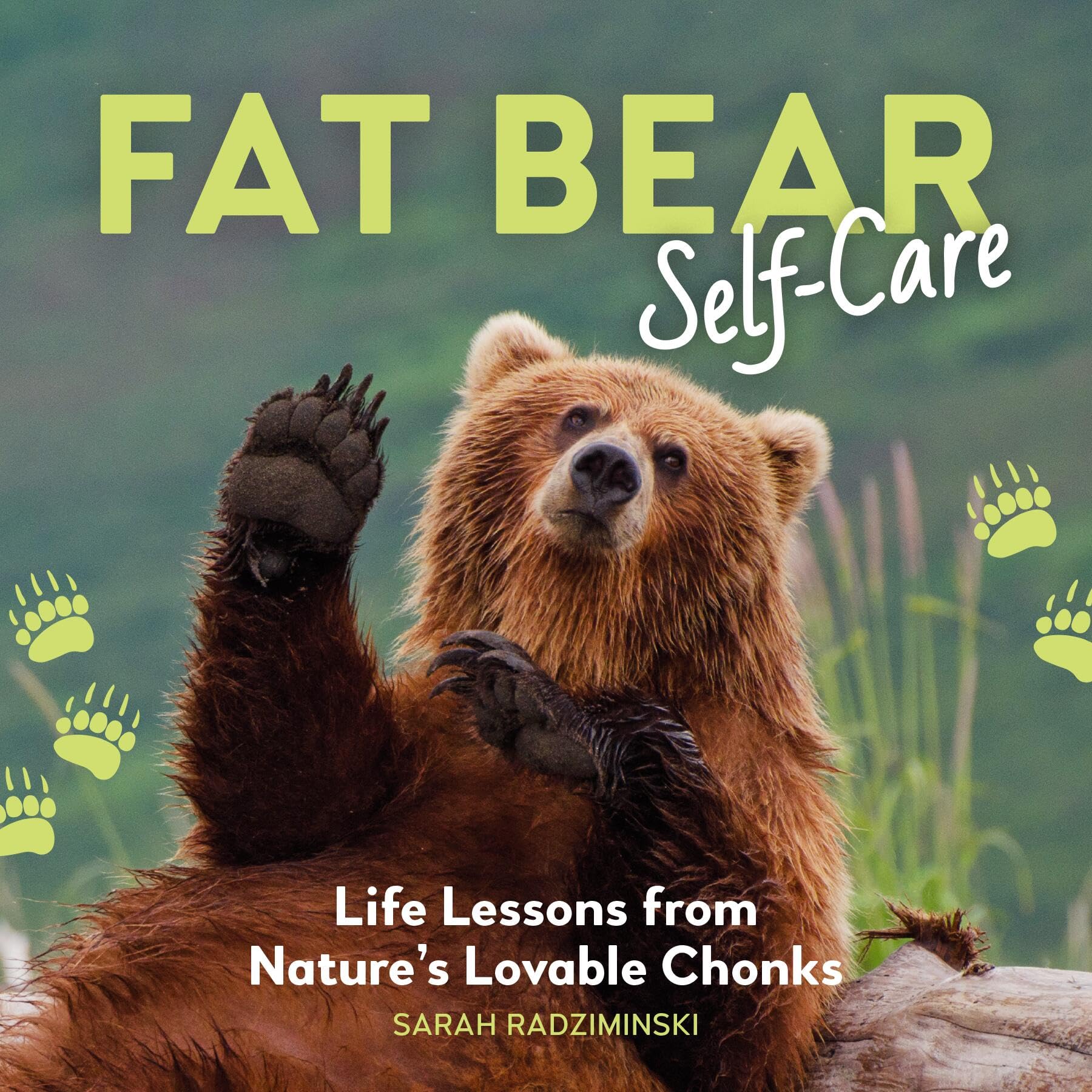 Fat Bear SelfCare: Life Lessons From NatureS Lovable Chonks