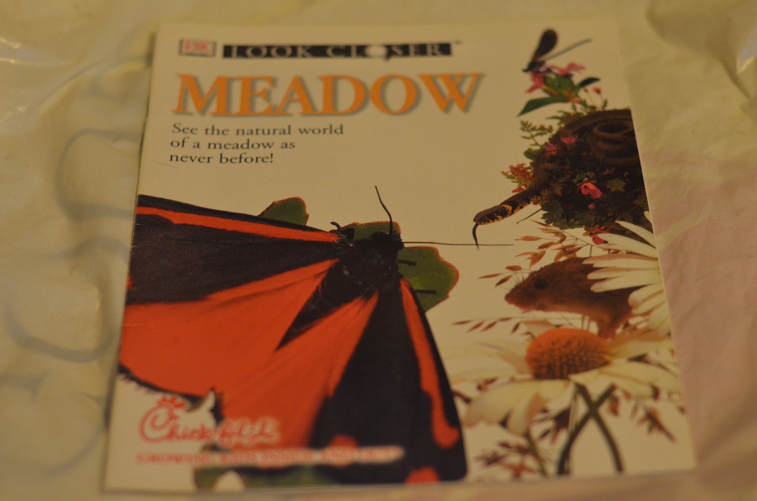 Look Closer: Meadow,Used