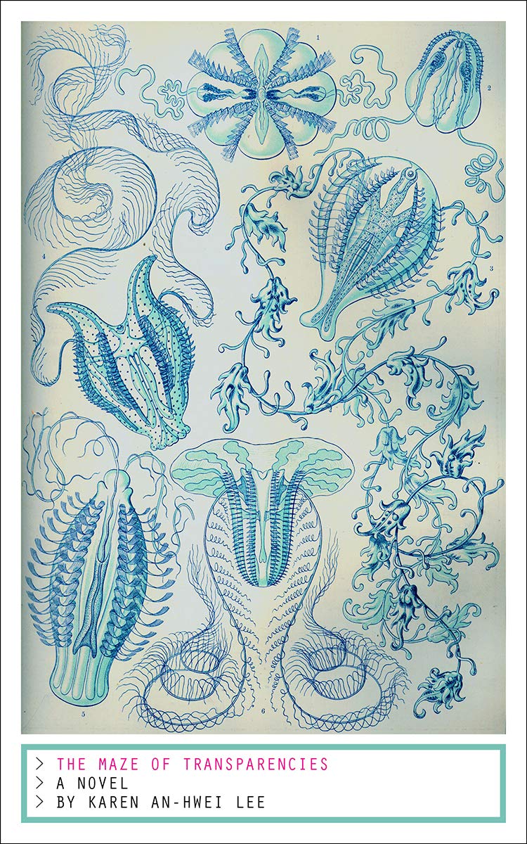 The Maze of Transparencies