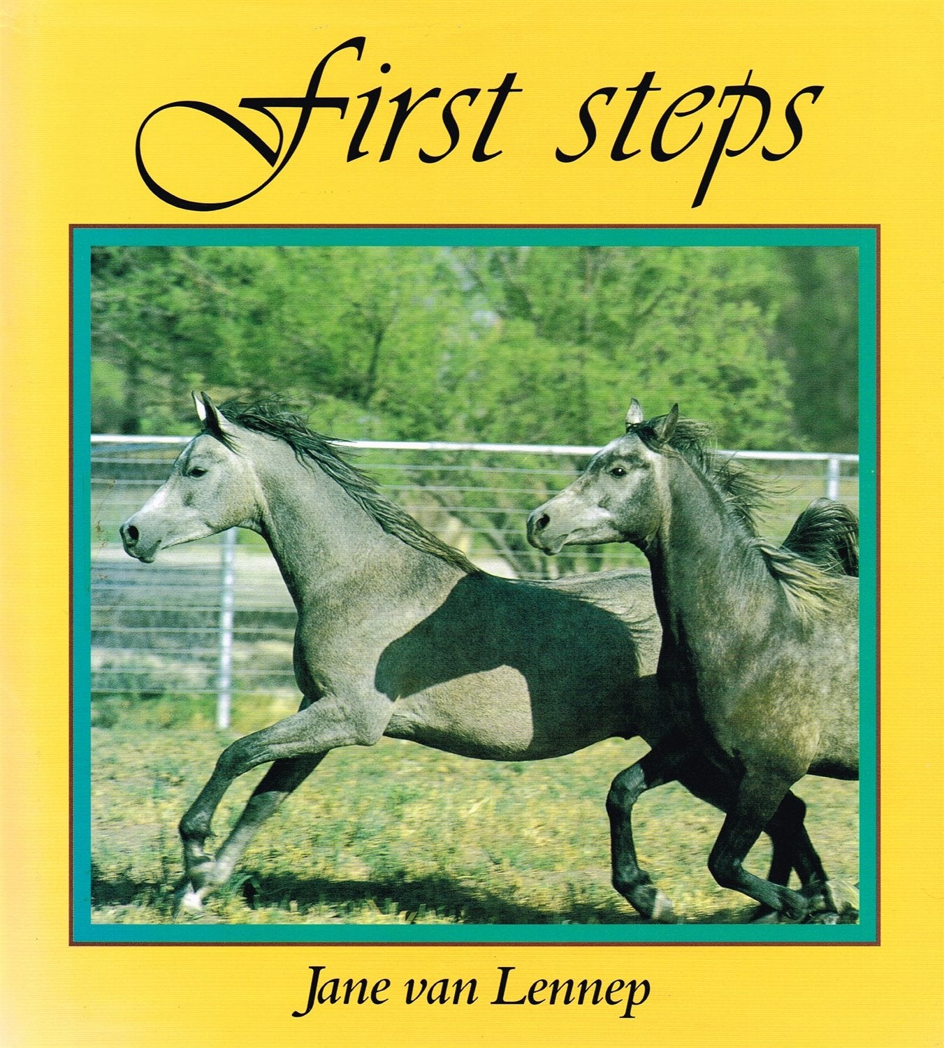 First Steps,Used