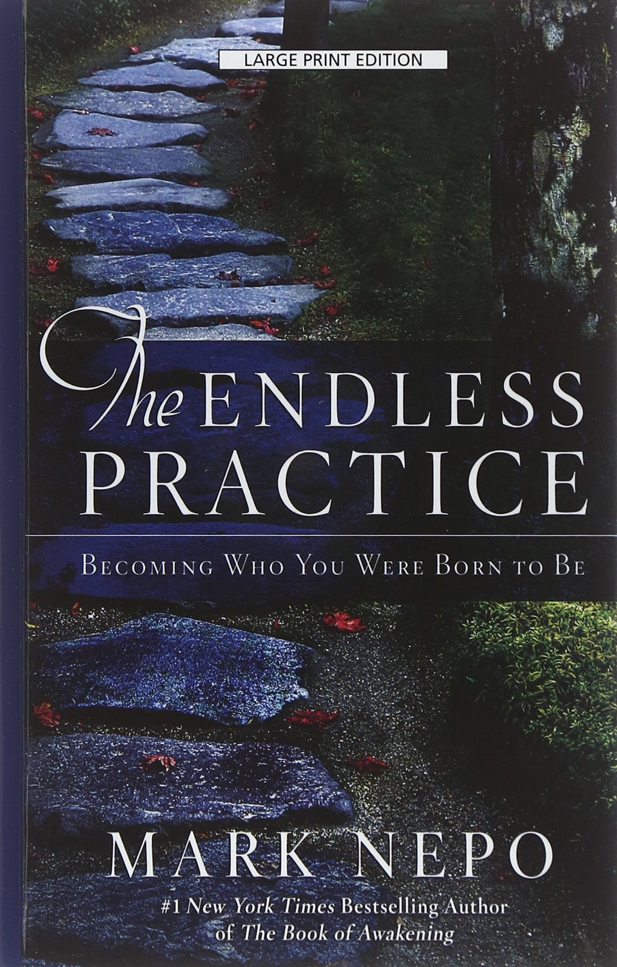 The Endless Practice: Becoming Who You Were Born To Be (Thorndike Press Large Print Inspirational),Used