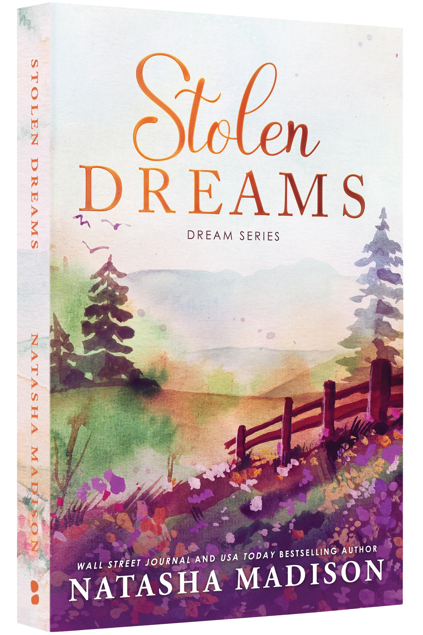 Stolen Dreams (The Dream Series)