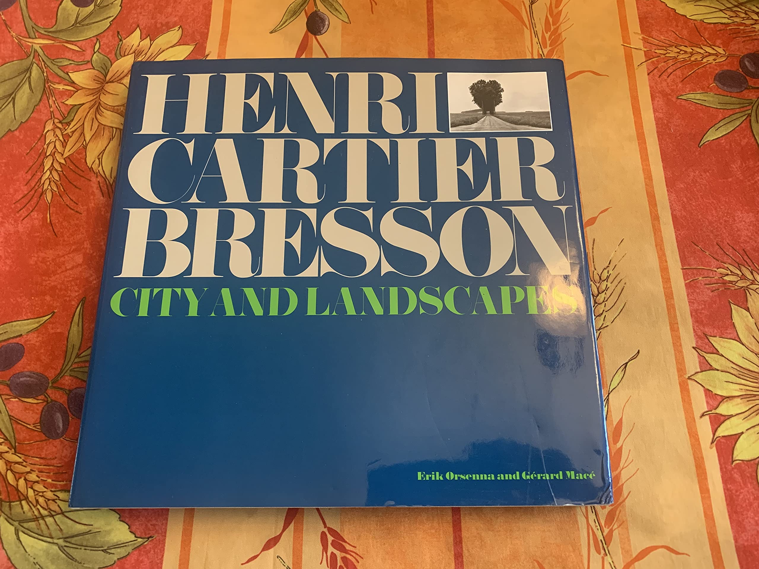 Henri Cartierbresson: City And Landscapes