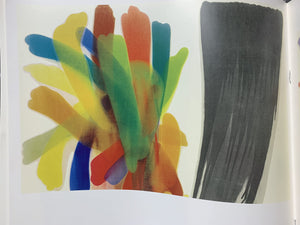 Morris Louis in the Museum of Fine Arts, Boston,Used