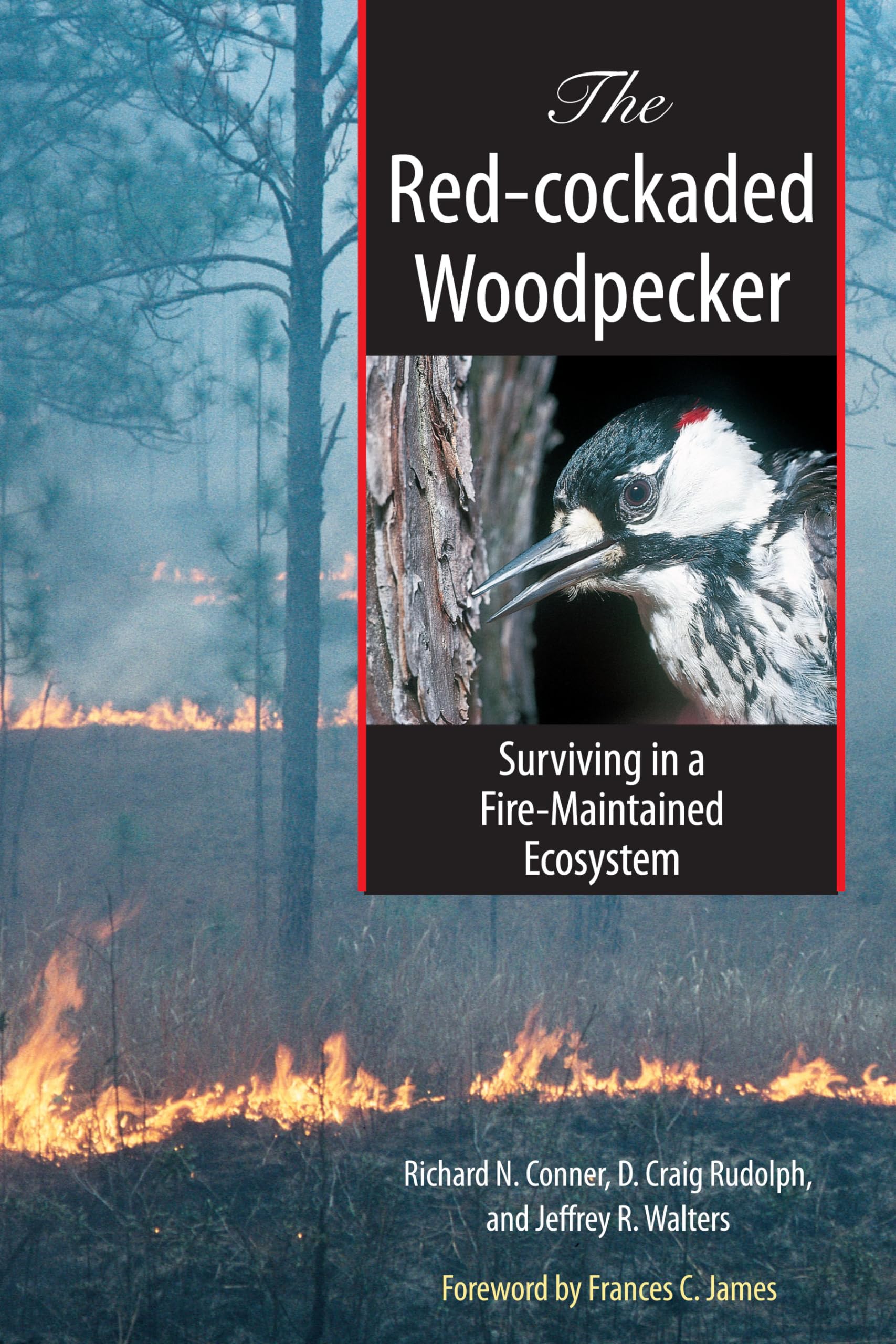 The Redcockaded Woodpecker: Surviving in a FireMaintained Ecosystem (Corrie Herring Hooks Series),Used