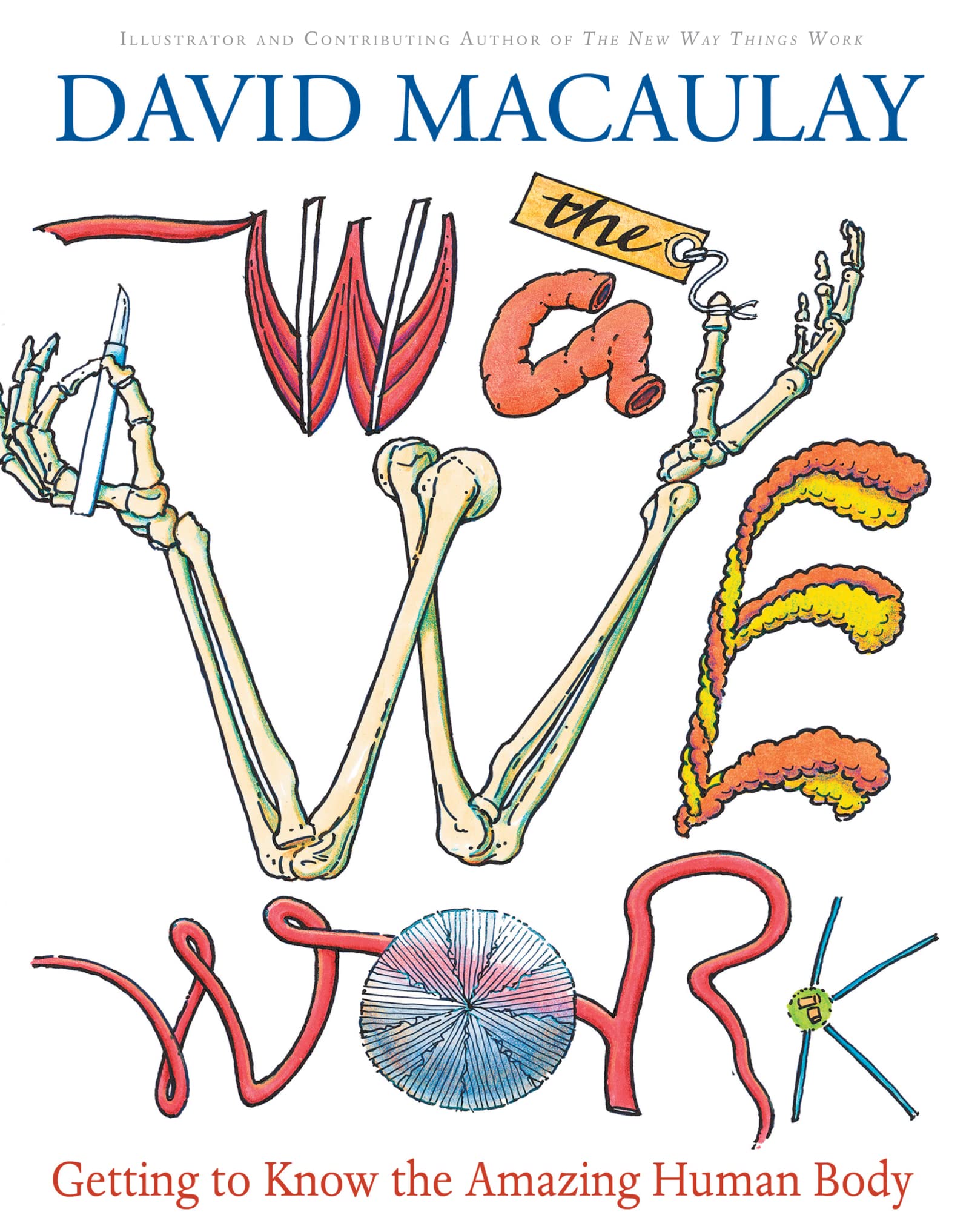 The Way We Work: Getting to Know the Amazing Human Body,New