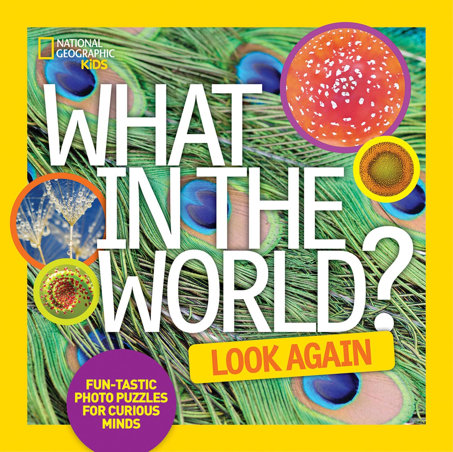 What in the World: Look Again: Funtastic Photo Puzzles for Curious Minds (National Geographic Kids),Used