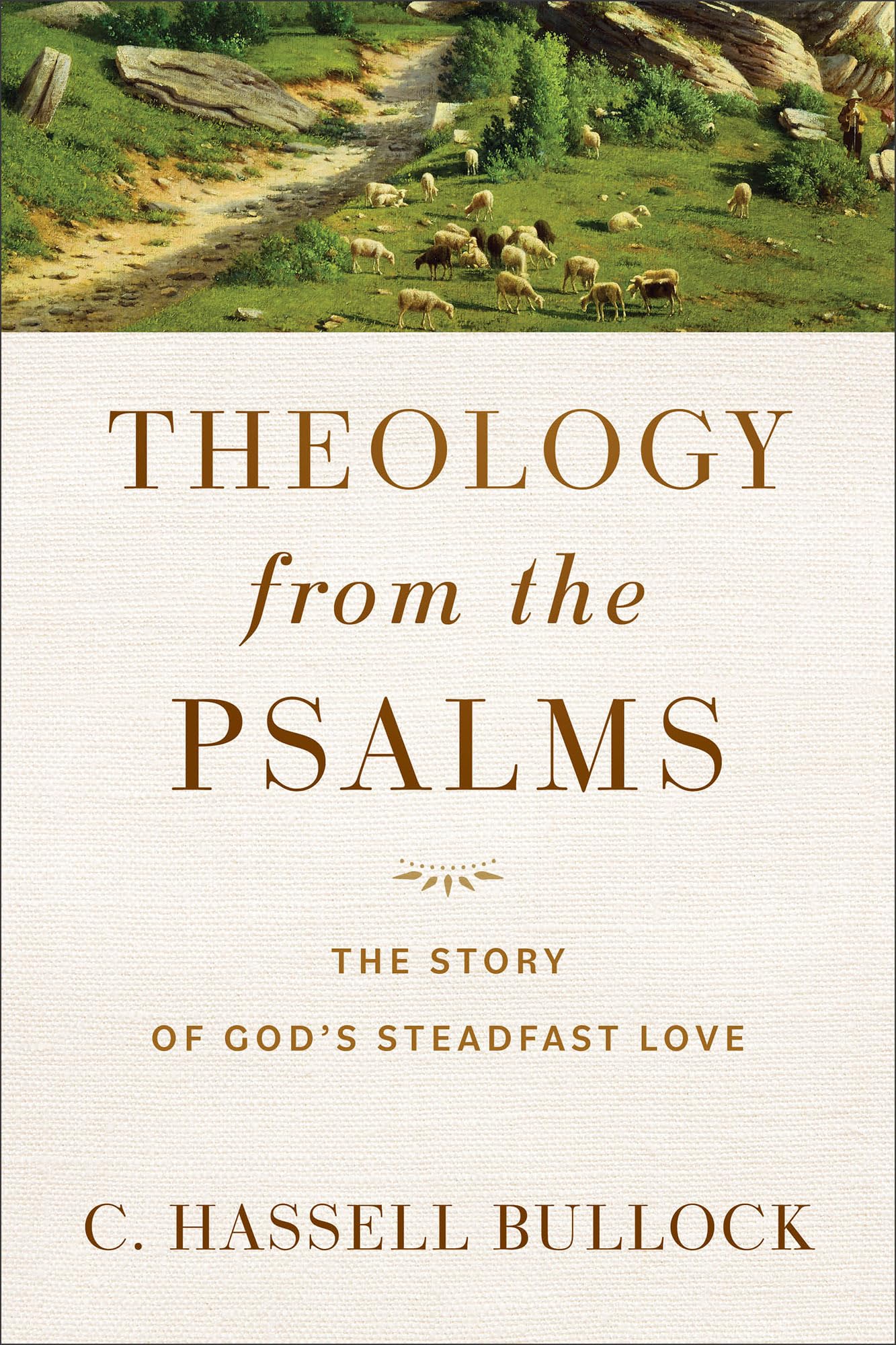 Theology from the Psalms: The Story of God's Steadfast Love,Used
