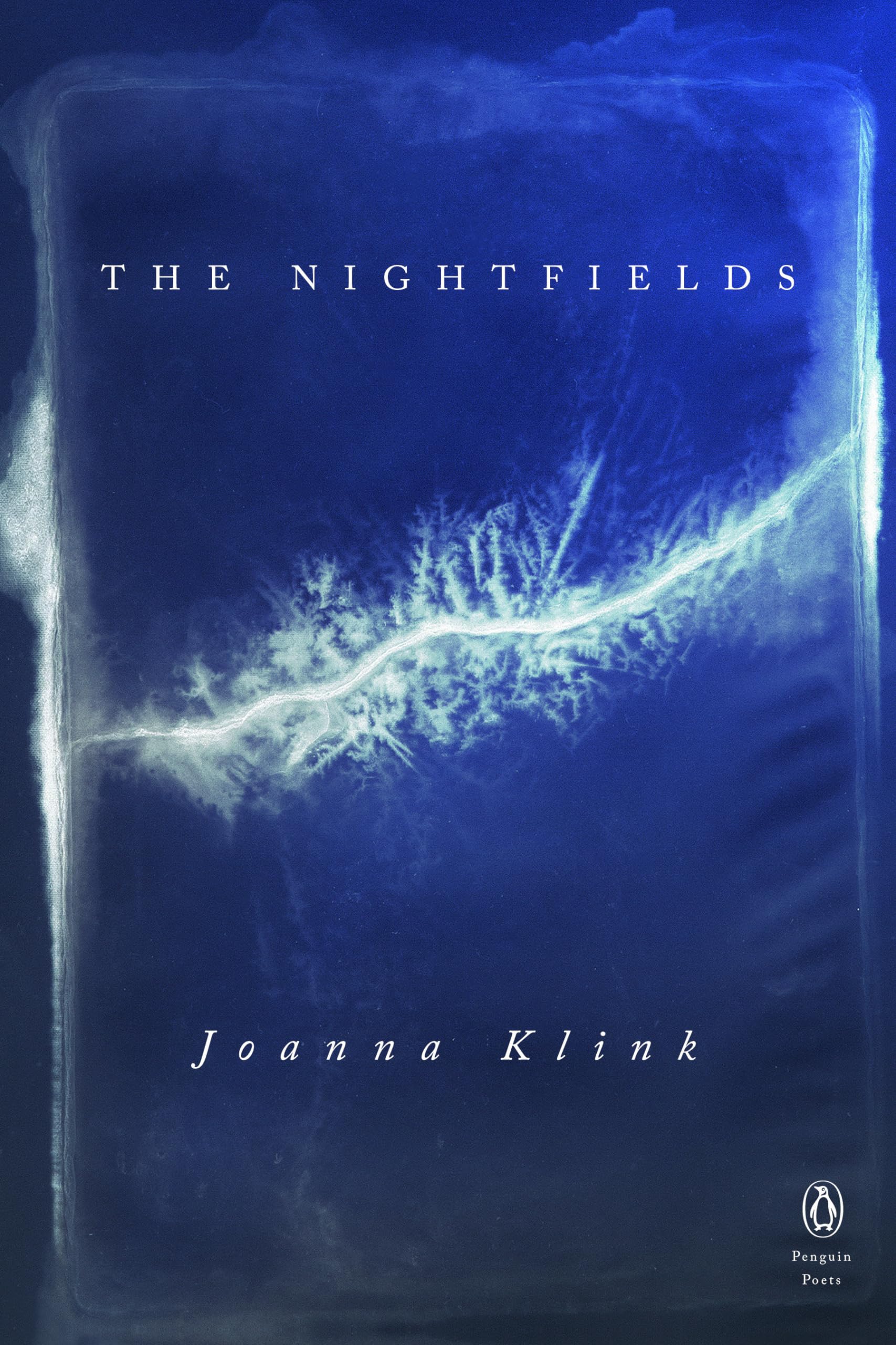 The Nightfields (Penguin Poets),New