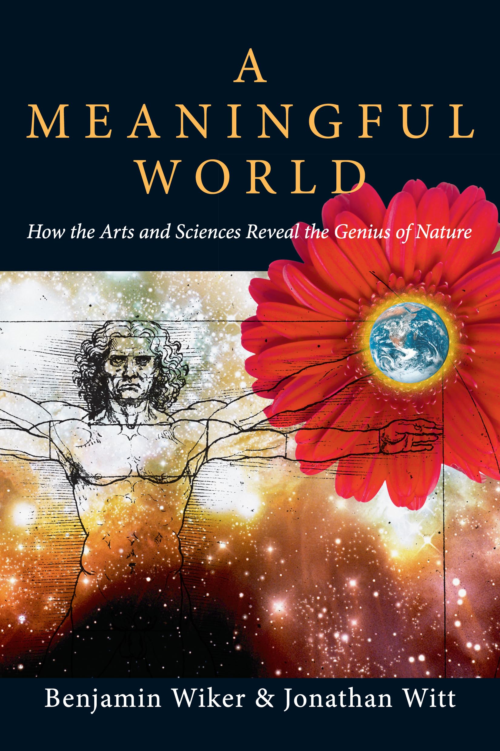 A Meaningful World: How the Arts and Sciences Reveal the Genius of Nature,Used
