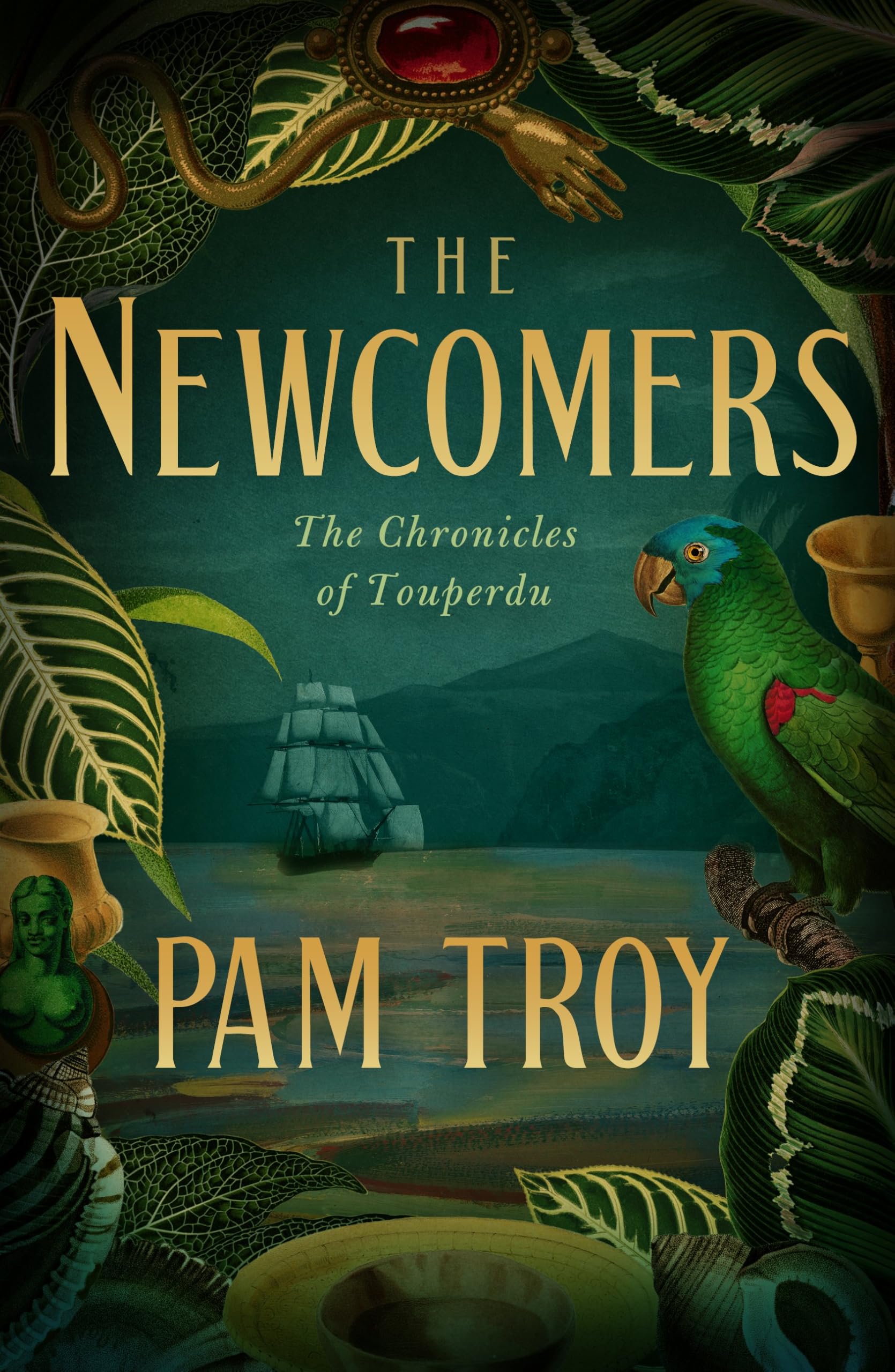 The Newcomers: The Chronicles Of Touperdu, Book I