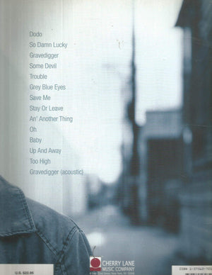 Dave Matthews  Some Devil