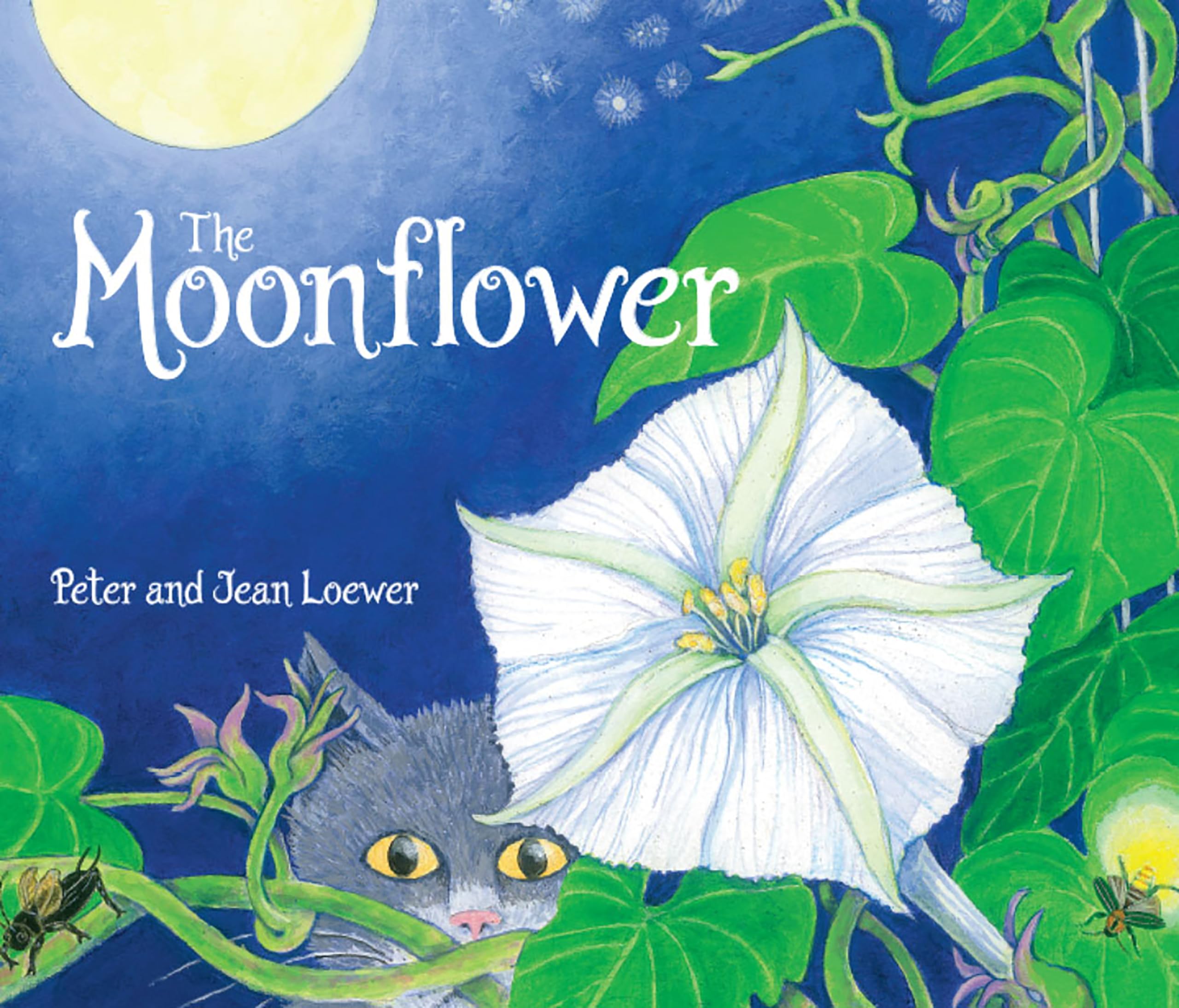The Moonflower,Used
