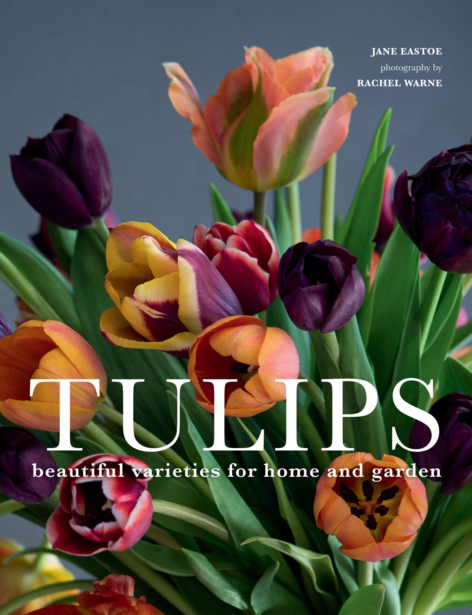 Tulips: Beautiful Varieties for Home and Garden,Used
