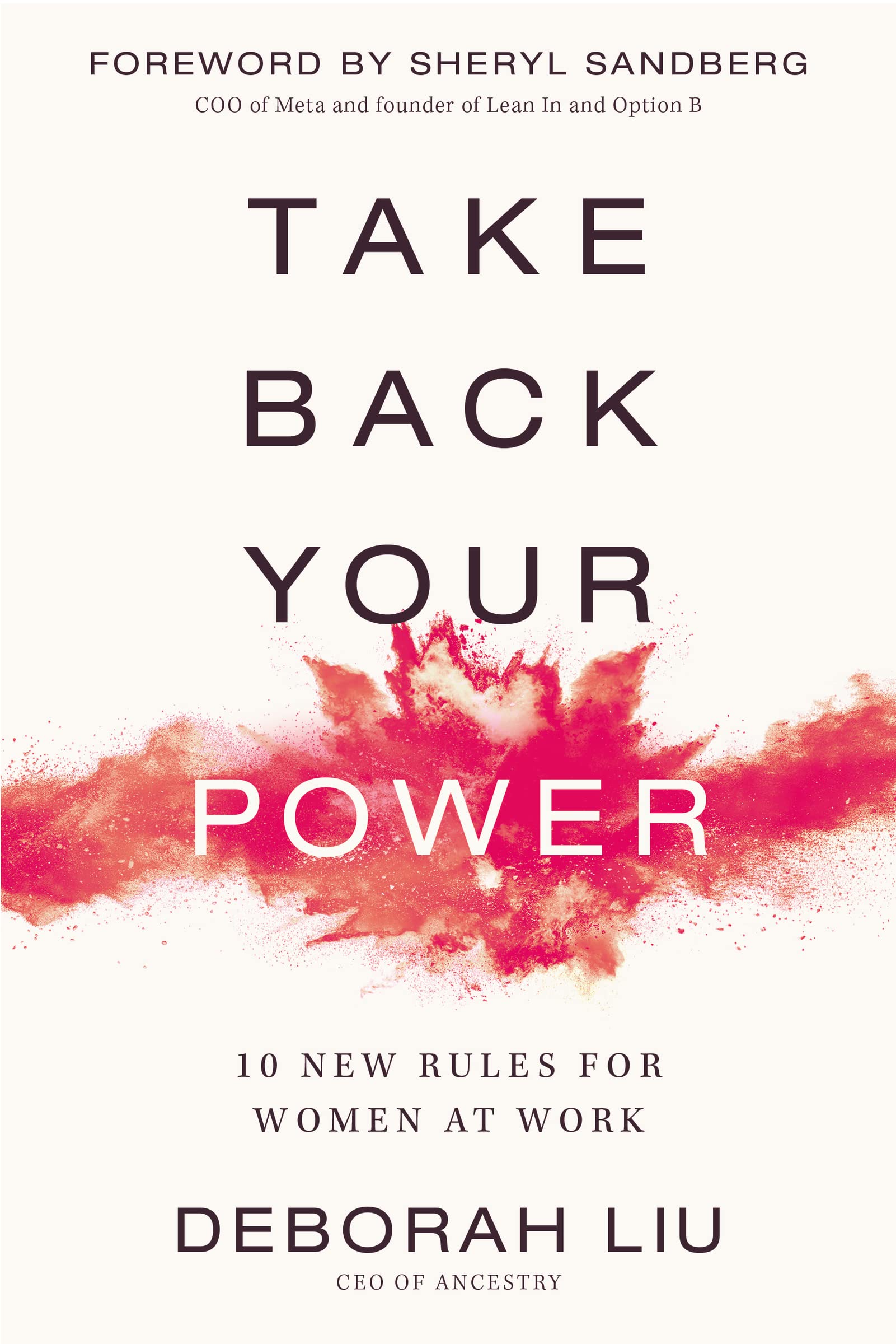 Take Back Your Power: 10 New Rules for Women at Work,New