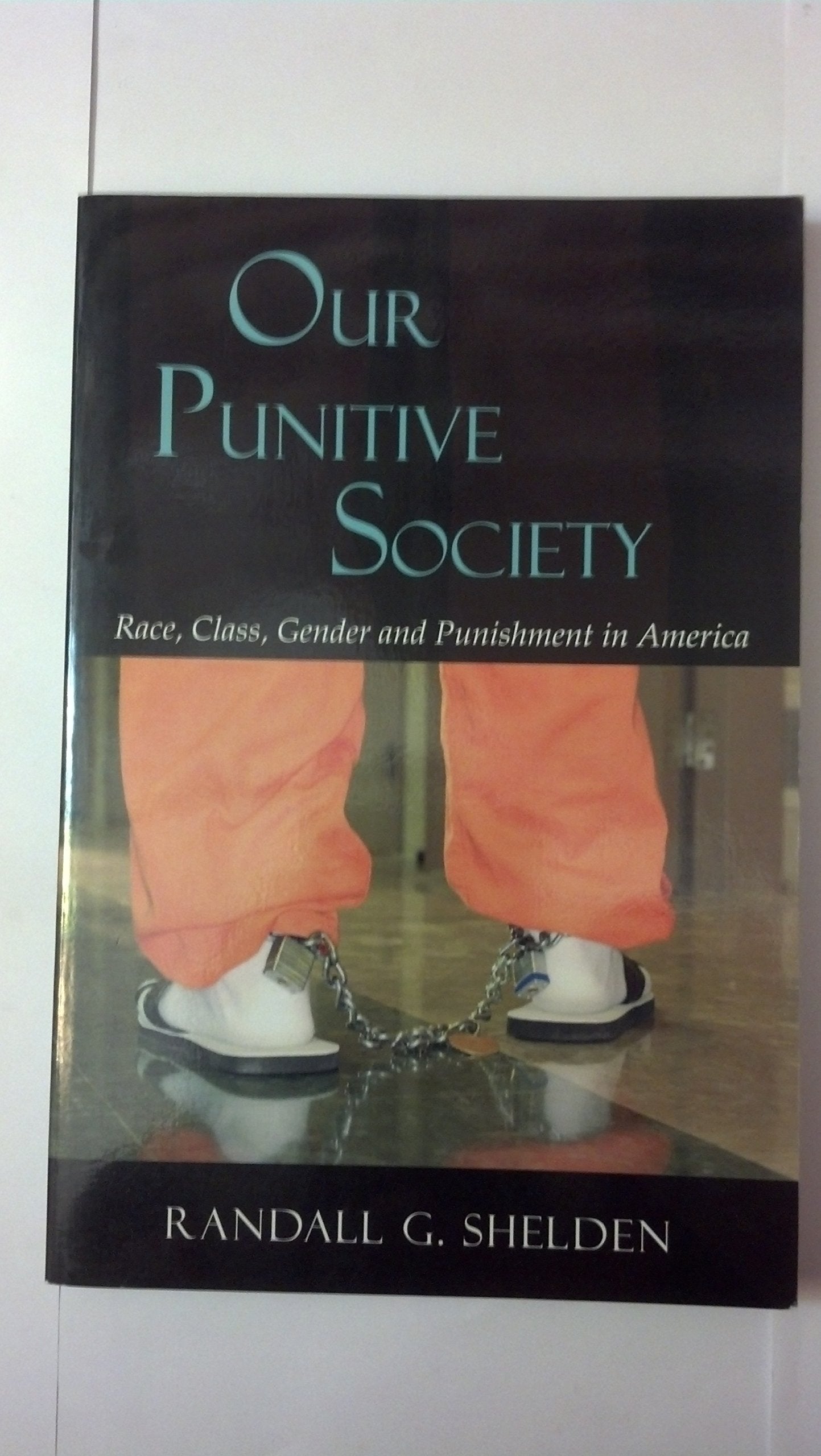 Our Punitive Society: Race, Class, Gender and Punishment in America,Used