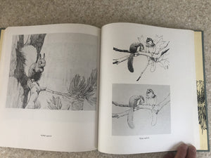 Francis Lee Jaques: Artist of the Wilderness World,Used