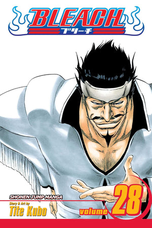 Bleach, Vol. 28,New