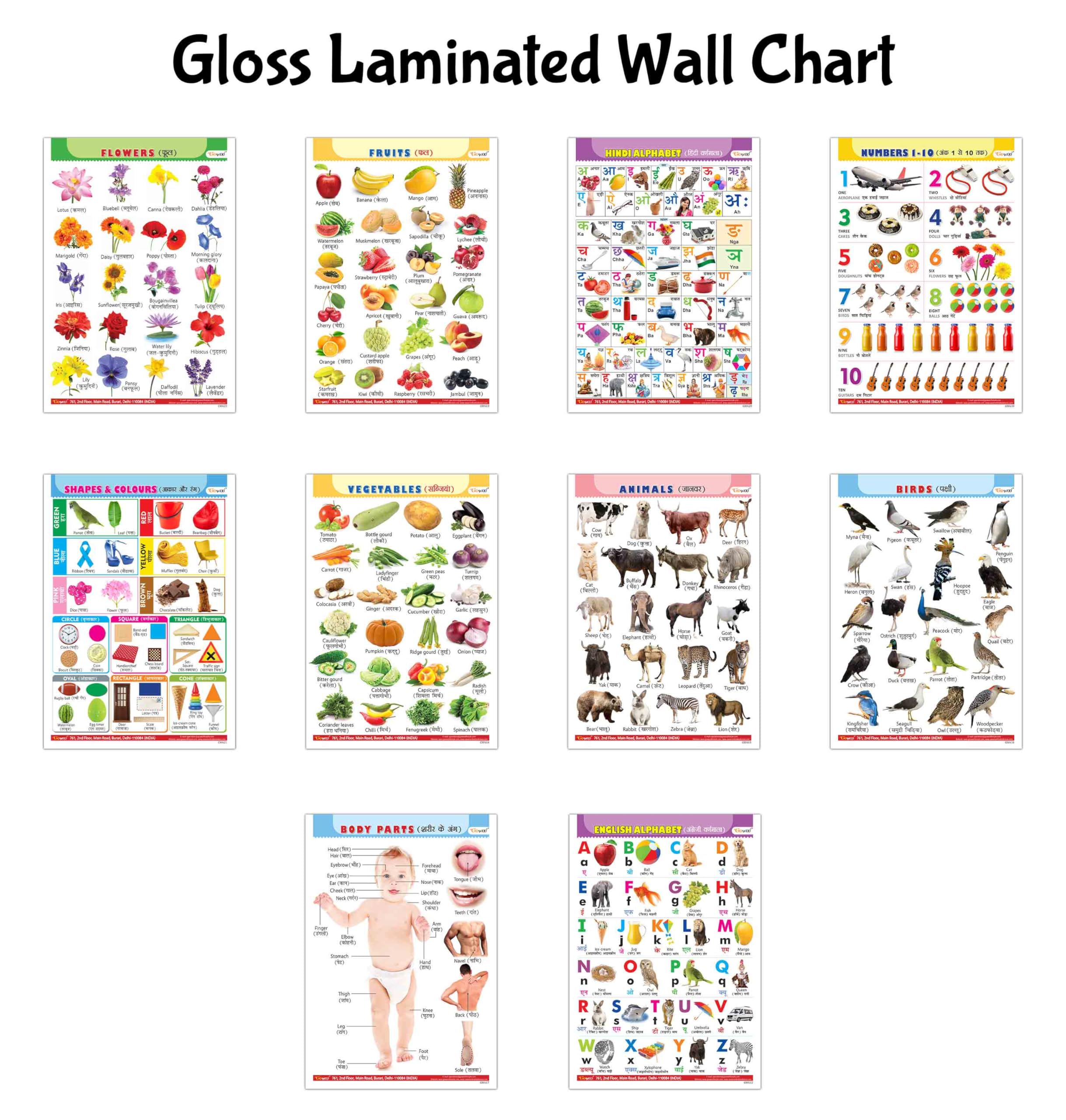 Toddler Learning English-Hindi Poster Pack : Alphabet, Fruits, Vegetables, Animals, Birds, Body Parts, Numbers, Hindi Varnmala, Shapes & Colours And Flowers - Glossy Lamination (Set Of 10)