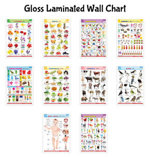 Toddler Learning English-Hindi Poster Pack : Alphabet, Fruits, Vegetables, Animals, Birds, Body Parts, Numbers, Hindi Varnmala, Shapes & Colours And Flowers - Glossy Lamination (Set Of 10)