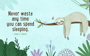 Sloth Wisdom (mini book),Used