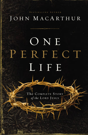One Perfect Life: The Complete Story Of The Lord Jesus