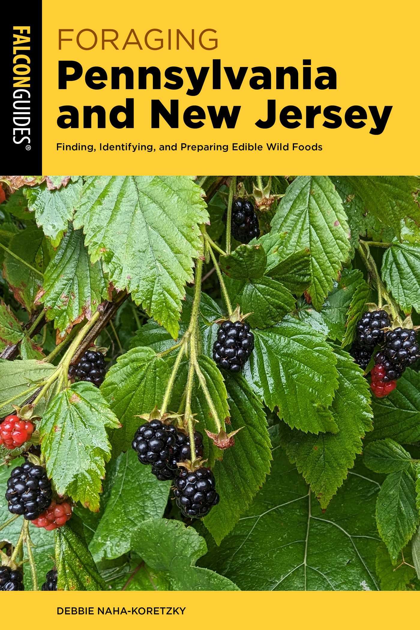 Foraging Pennsylvania And New Jersey: Finding, Identifying, And Preparing Edible Wild Foods (Foraging Series)