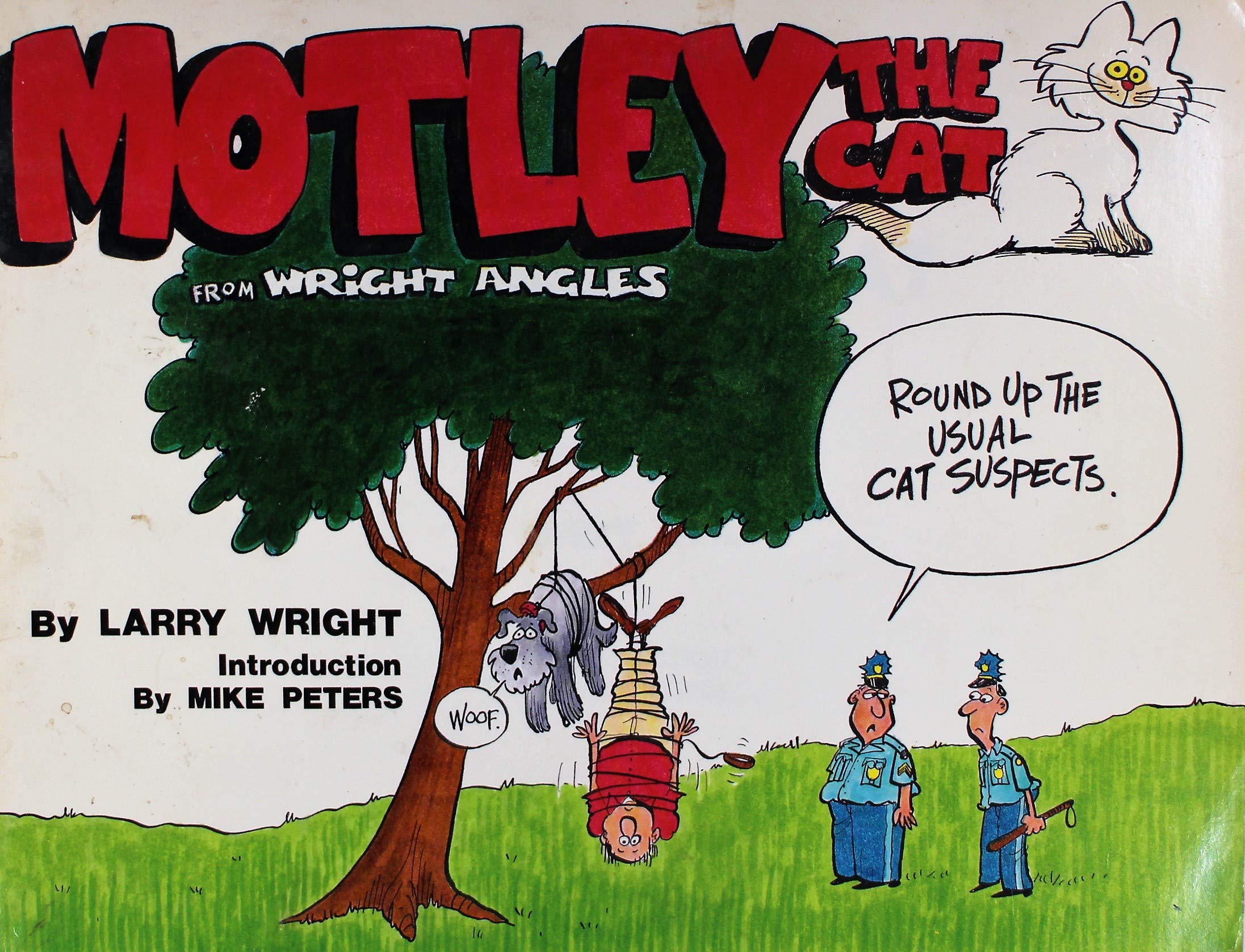 Motley the Cat (Wright Angles),Used