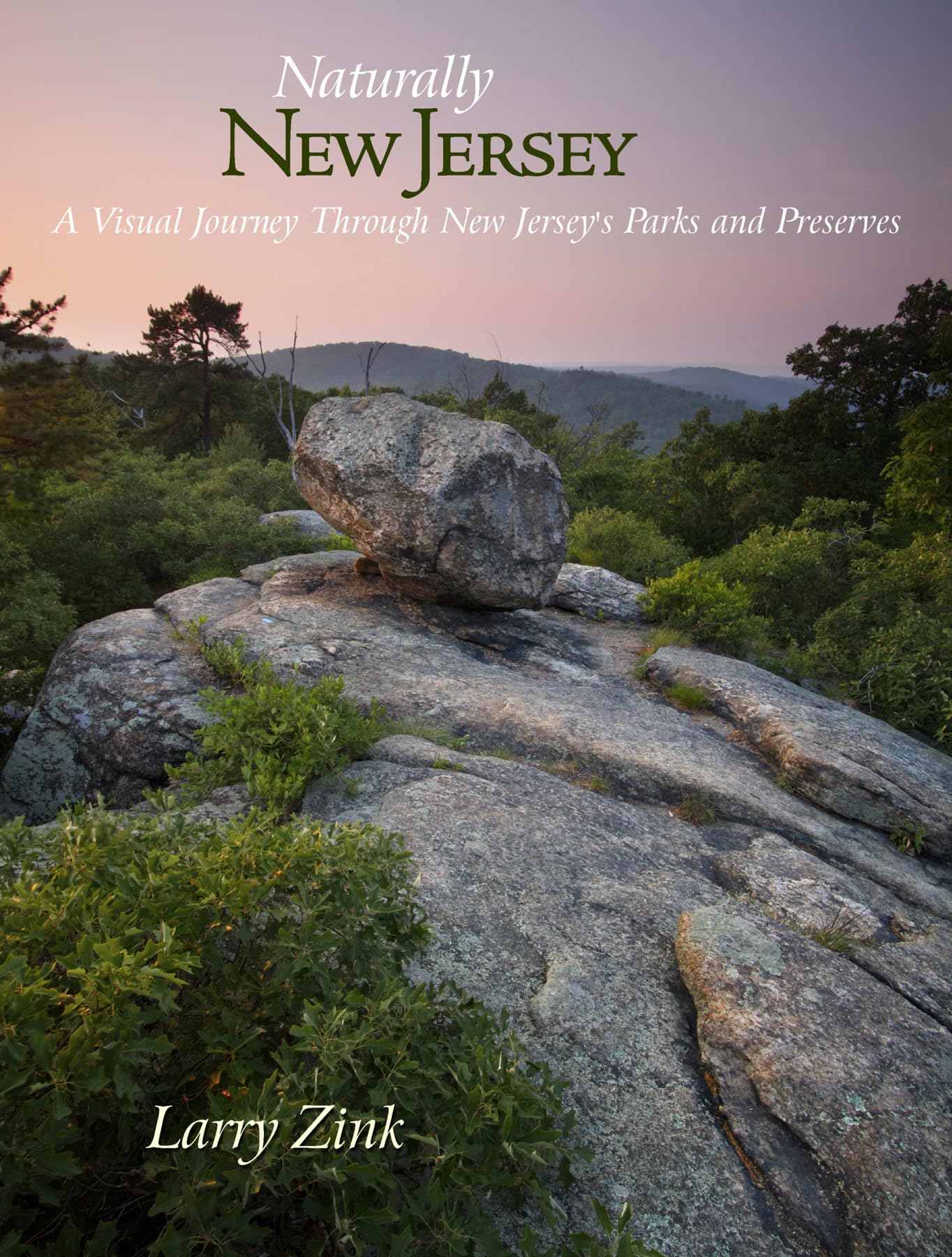 Naturally New Jersey: A Visual Journey Through New Jersey's Parks and Preserves,Used