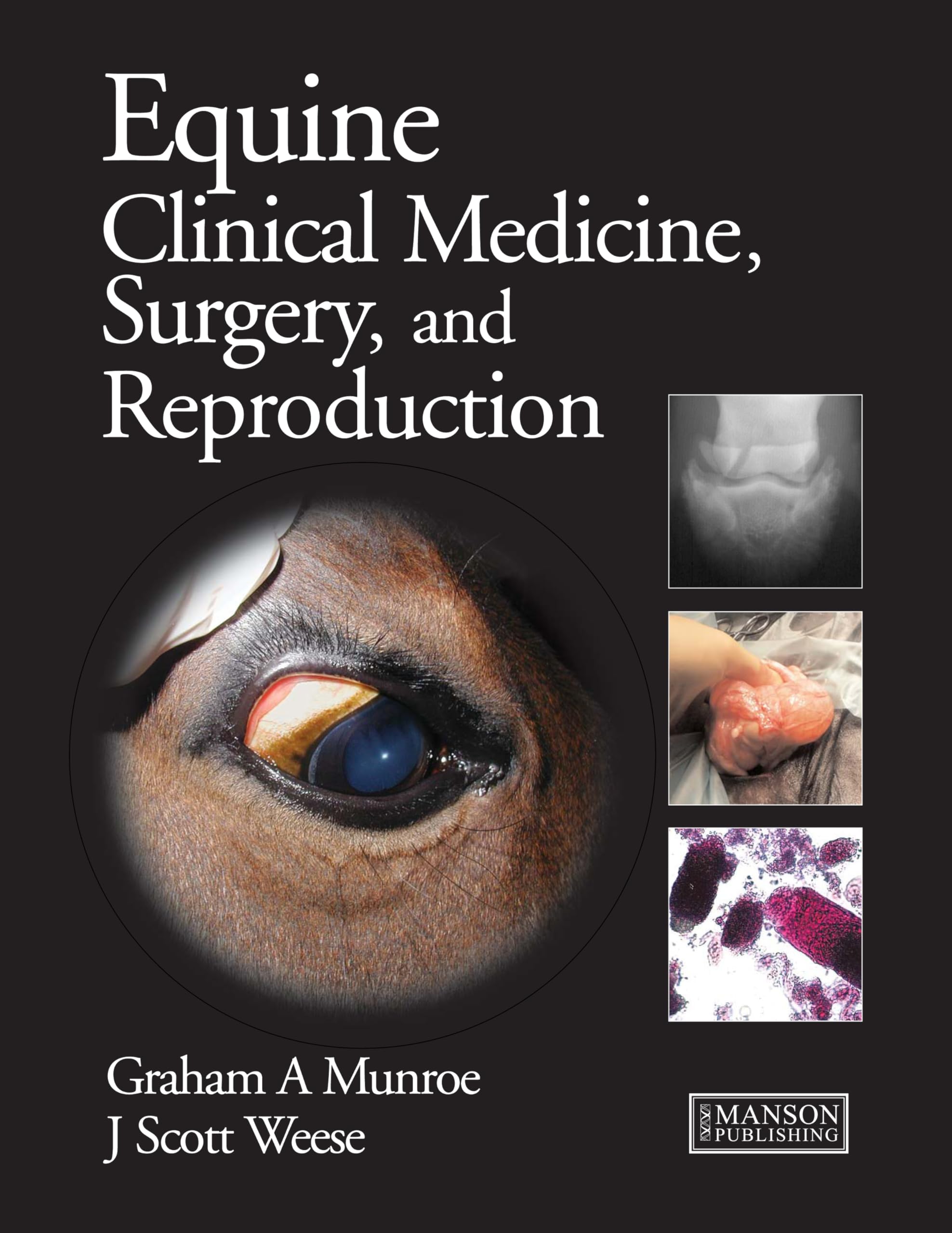 Equine Clinical Medicine, Surgery and Reproduction,Used