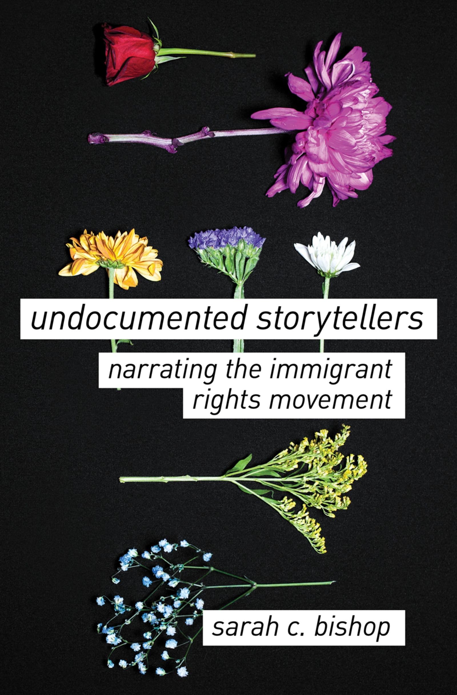 Undocumented Storytellers: Narrating the Immigrant Rights Movement,New