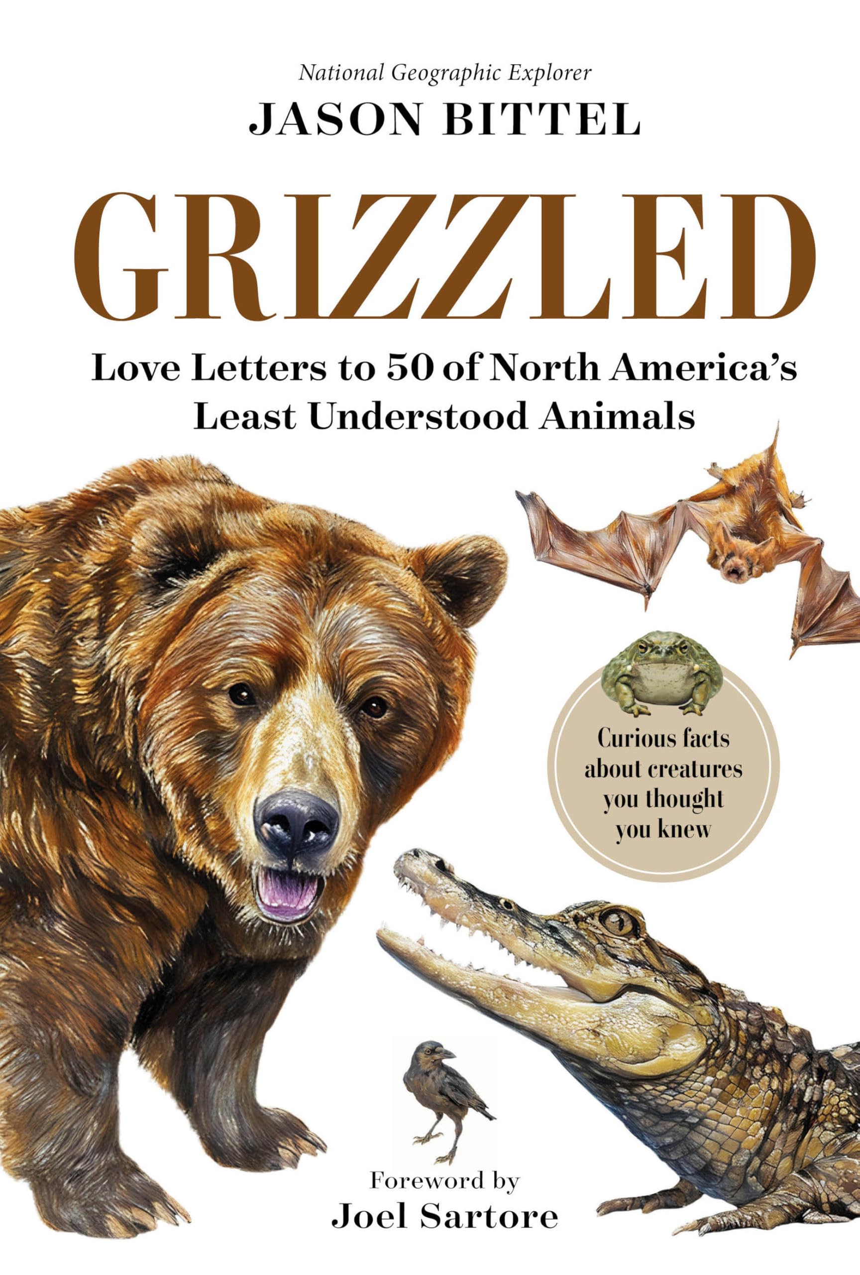 Grizzled: Love Letters To 50 Of North AmericaS Least Understood Animals