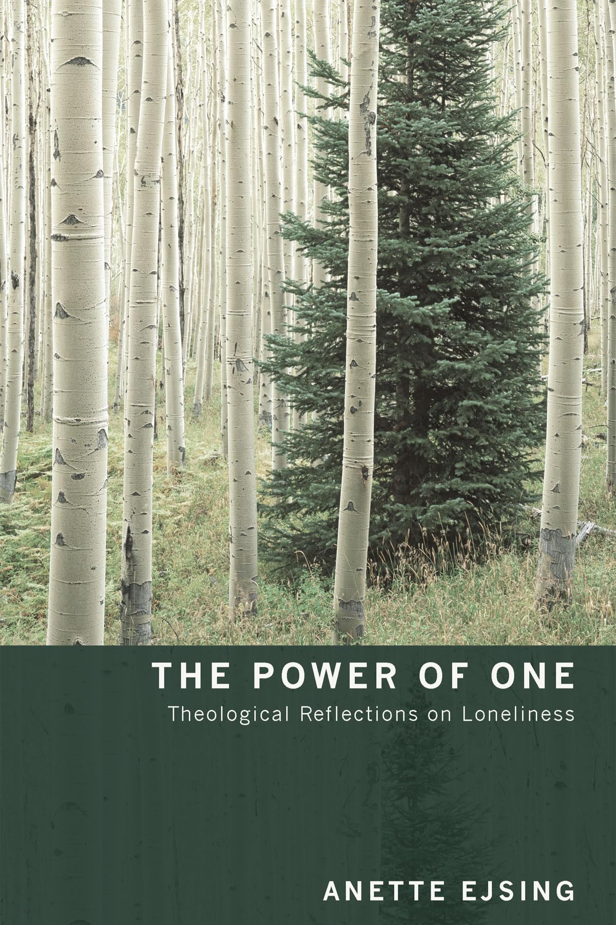 The Power of One: Theological Reflections on Loneliness,Used