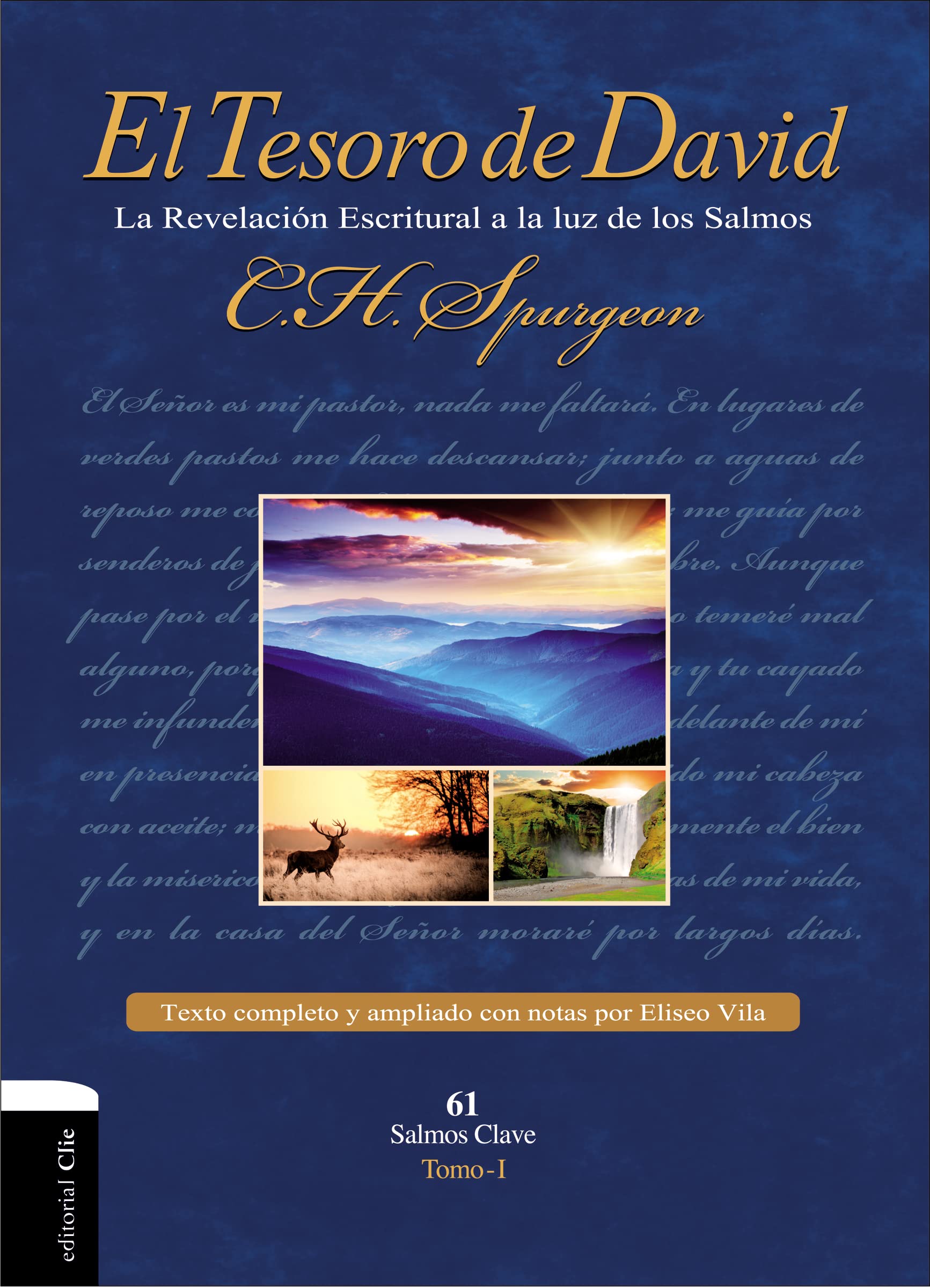 El Tesoro de David I: La Revelacin Escritural a la luz de los Salmos (Spanish Edition),New