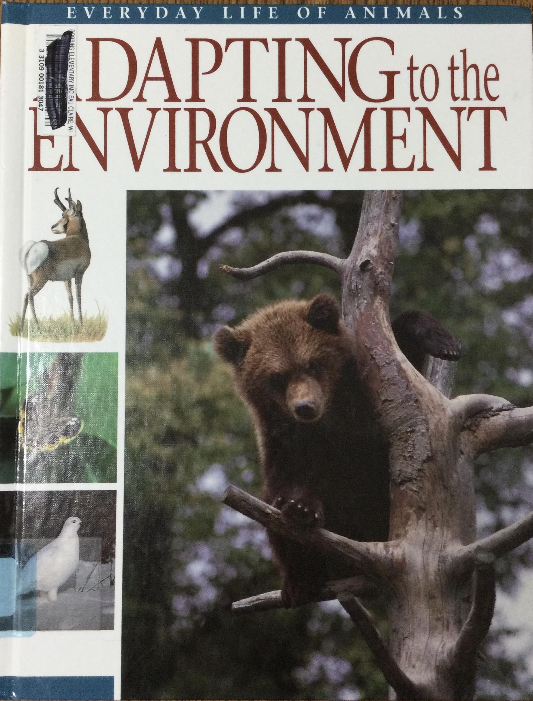 Adapting to the Environment (Everyday Life of Animals),Used