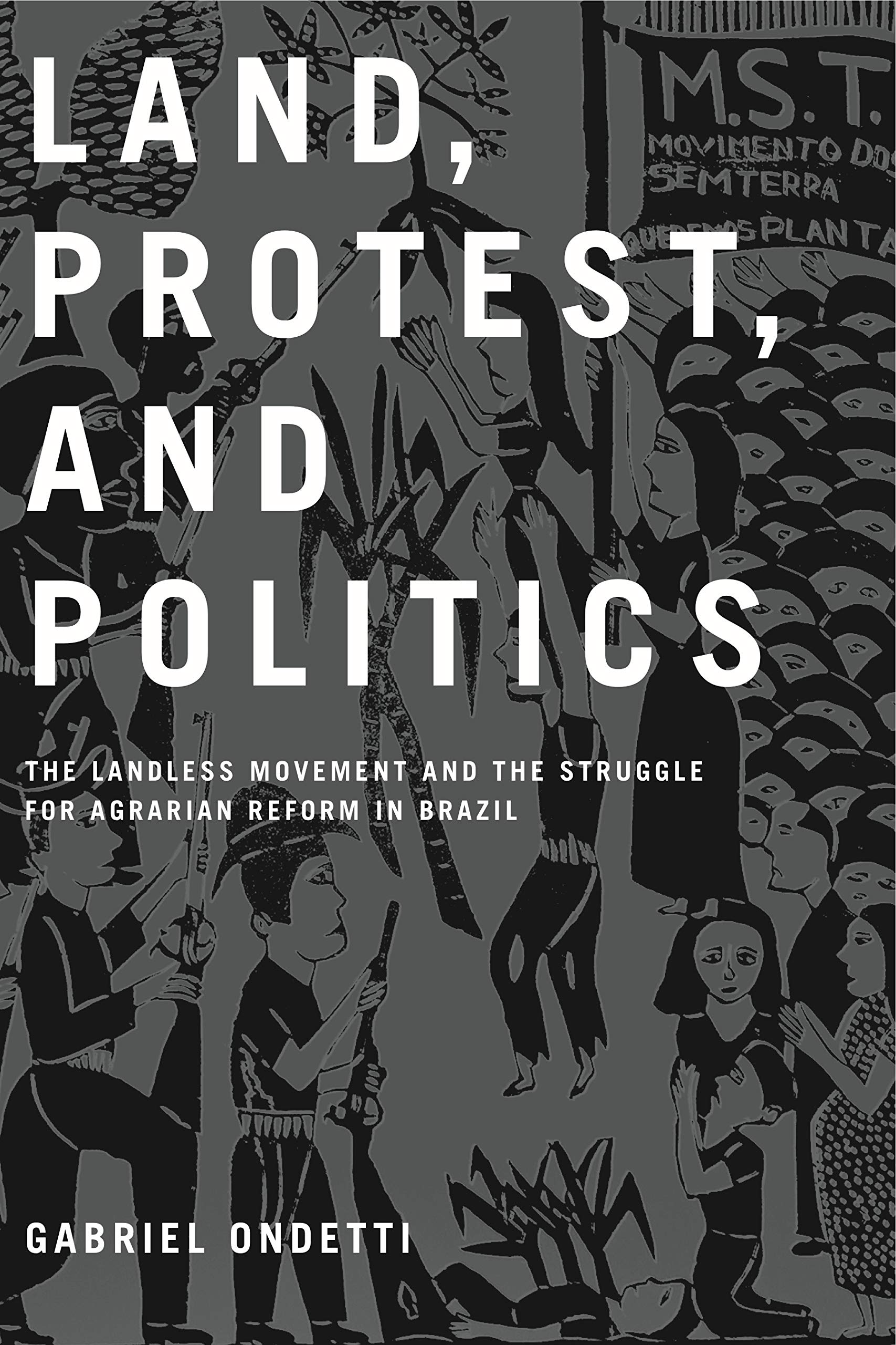 Land, Protest, and Politics: The Landless Movement and the Struggle for Agrarian Reform in Brazil,Used