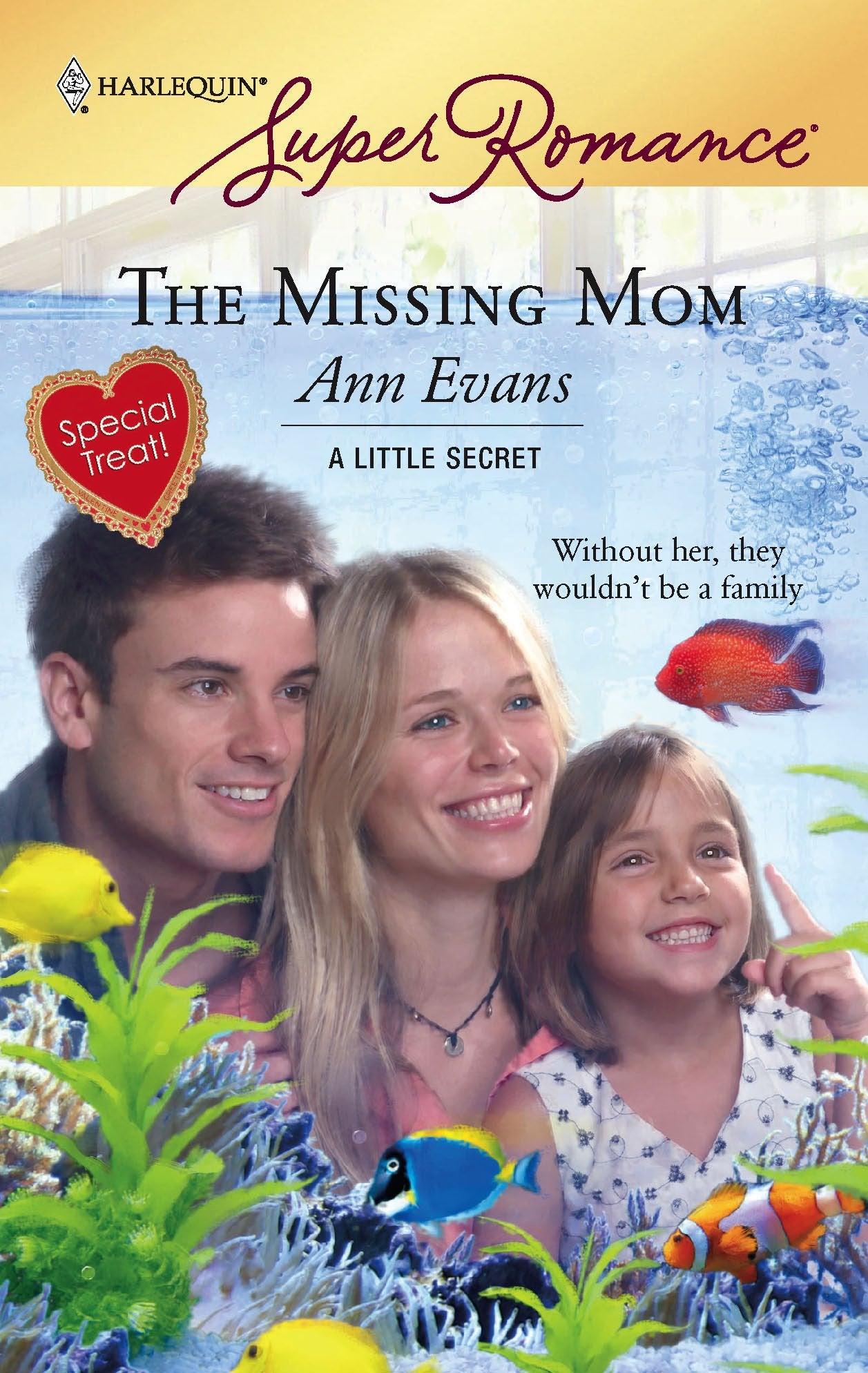 The Missing Mom,Used