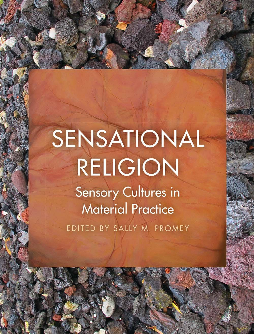Sensational Religion: Sensory Cultures in Material Practice,Used