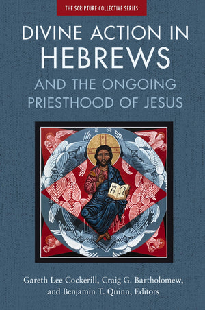 Divine Action in Hebrews: And the Ongoing Priesthood of Jesus (The Scripture Collective Series),New