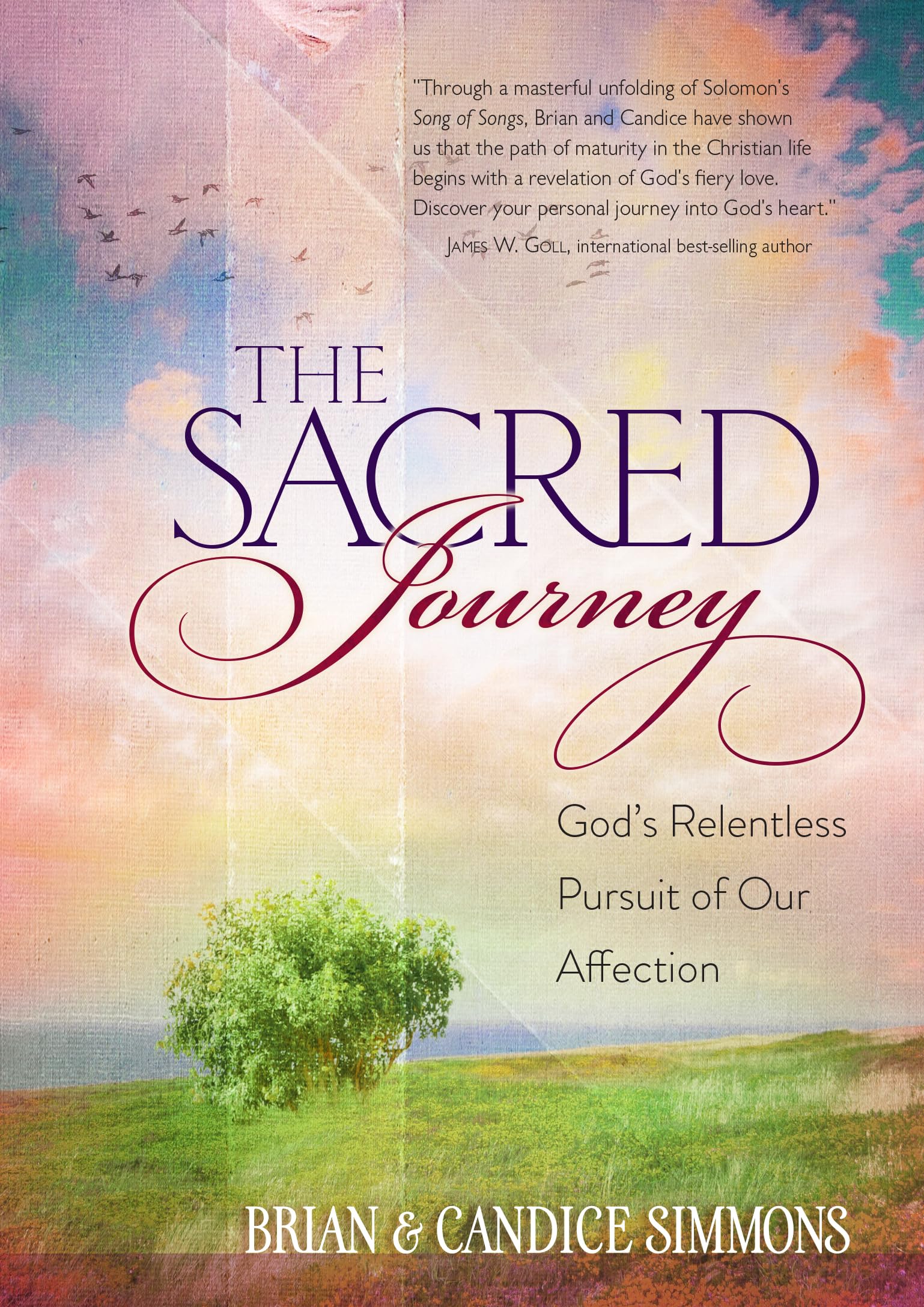 The Sacred Journey: God's Relentless Pursuit of Our Affection (The Passion Translation, Paperback)  A Heartfelt Translation of ,Used